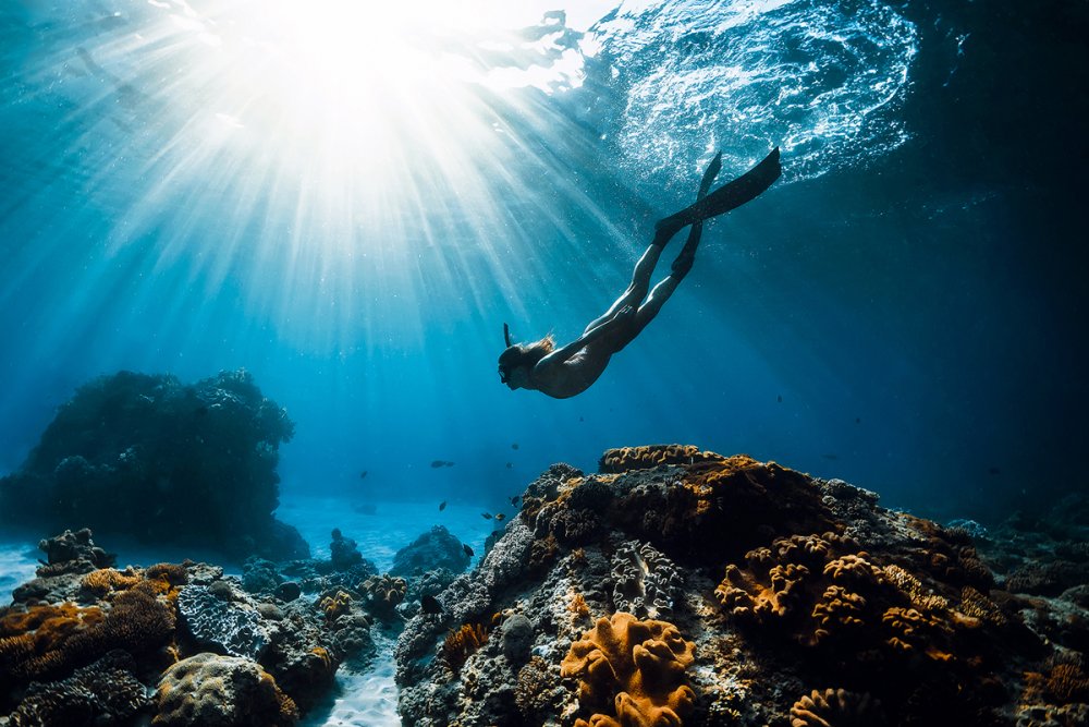  (c) Shutterstock-Wonderful Nature